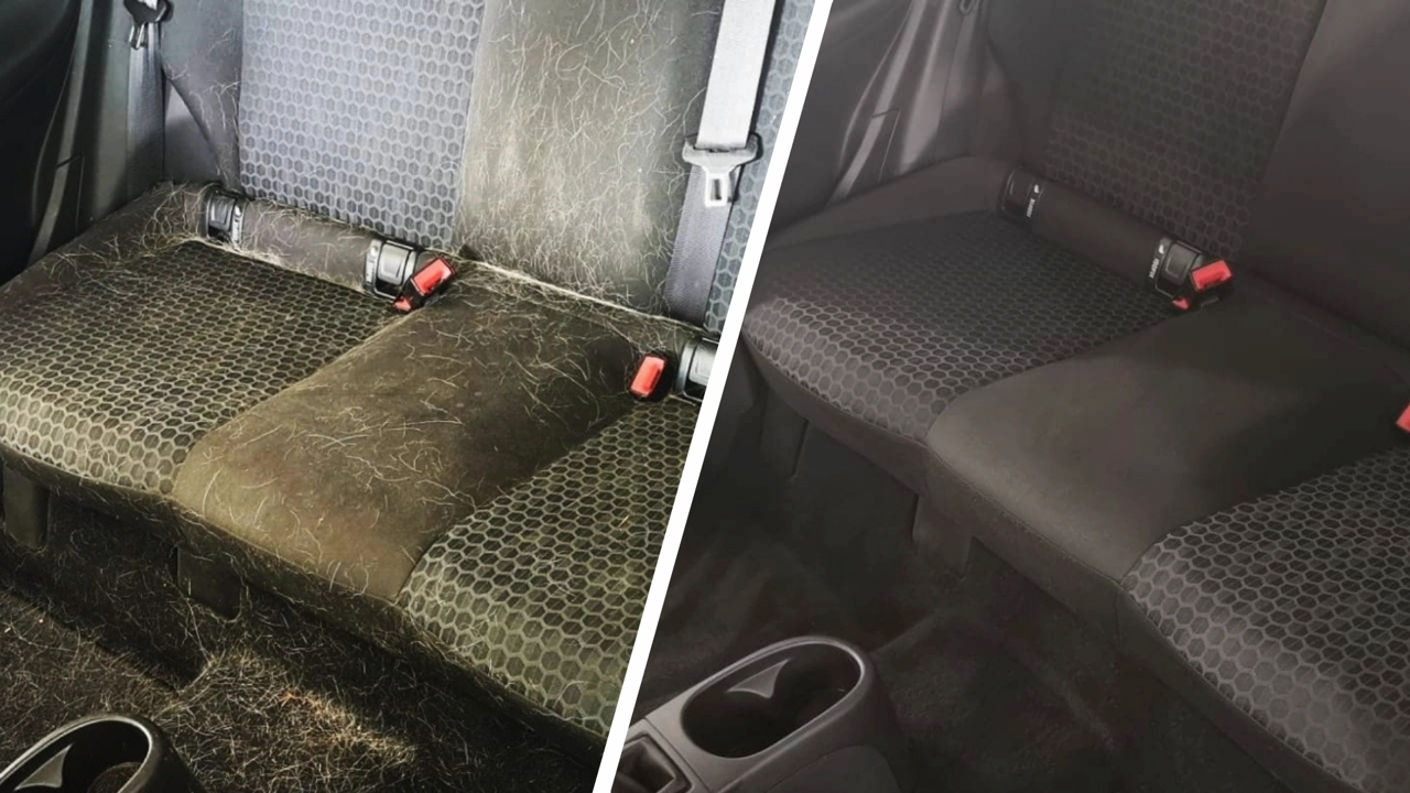 Tierhaarentfernung Vorher-Nachher - Komplette Entfernung von Tierhaaren aus Polstern und Teppichen